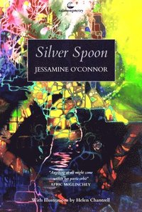 bokomslag Silver Spoon