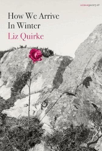 Liz Quirke - How We Arrive In Winter, Häftad