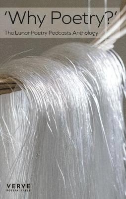 David Turner, David Turner - Why Poetry?, Häftad