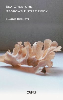 Elaine Beckett - Sea Creature Regrows Entire Body, Häftad. Tillgänglighet: Lägg i varukorg