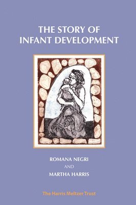 bokomslag Story of Infant Development