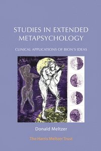 bokomslag Studies in Extended Metapsychology