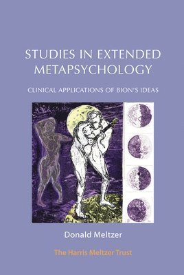 Studies in Extended Metapsychology 1