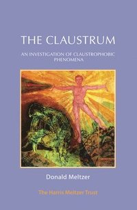 bokomslag The Claustrum