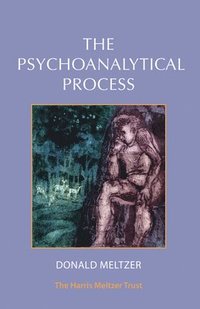 bokomslag Psychoanalytical Process