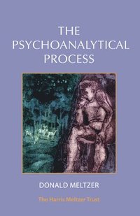 bokomslag The Psychoanalytical Process