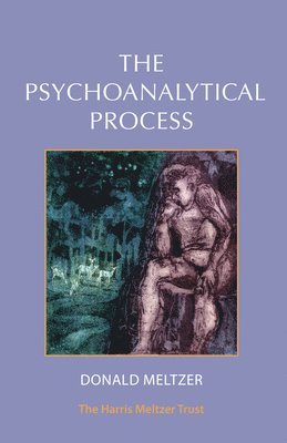 The Psychoanalytical Process 1