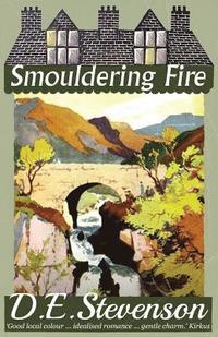 bokomslag Smouldering Fire