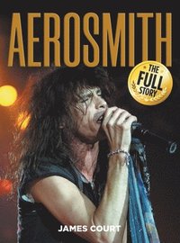 bokomslag Aerosmith