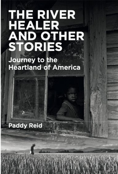 Paddy Reid - River Healer and Other Stories, Häftad