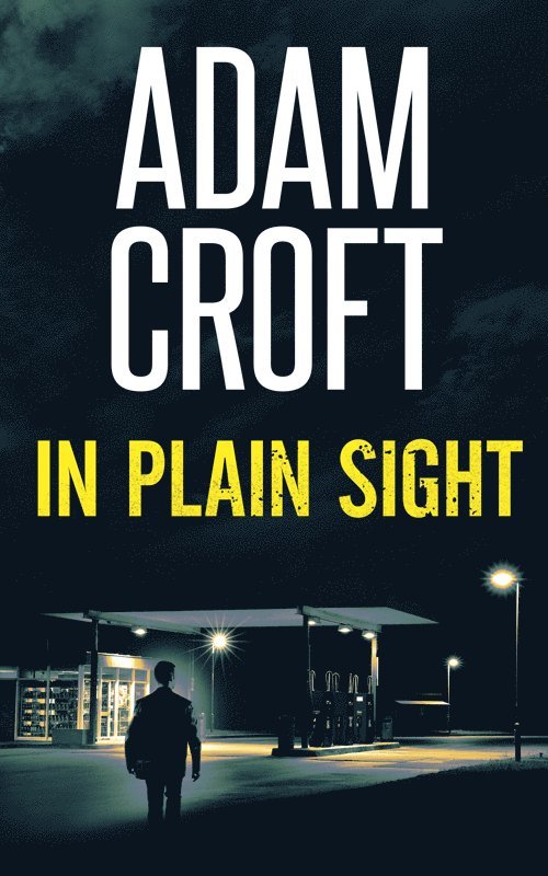 In Plain Sight
