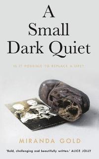 bokomslag A Small Dark Quiet