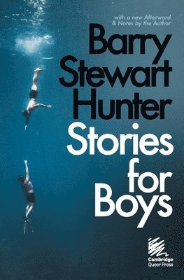 Barry Stewart Hunter - Stories for Boys, Häftad