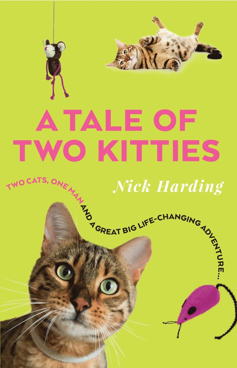 Nick Harding - Tale of Two Kitties, Häftad