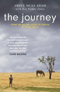 bokomslag Journey
