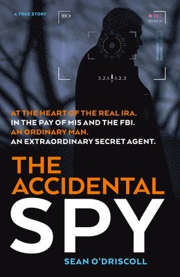 The Accidental Spy 1