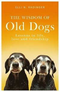 bokomslag Wisdom of Old Dogs
