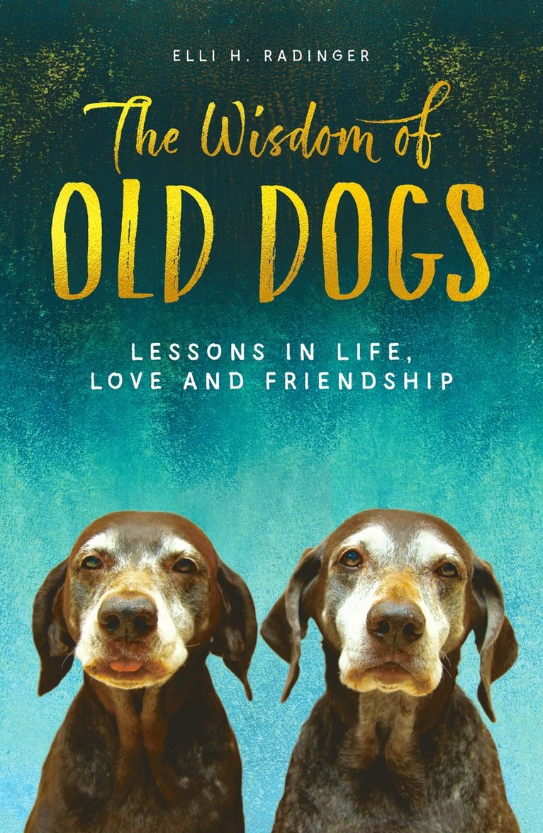 Wisdom of Old Dogs