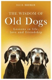 bokomslag Wisdom of Old Dogs