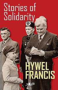 bokomslag Stories of Solidarity