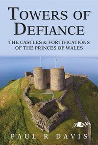 bokomslag Towers of Defiance
