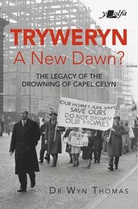 bokomslag Tryweryn: A New Dawn?