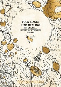 bokomslag Folk Magic and Healing