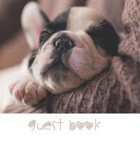 bokomslag Guest Book, Visitors Book, Guests Comments, Vacation Home Guest Book, Holiday Home, Beach House Guest Book, Comments Book, Visitor Book, Neutral Guest Book, Bed & Breakfast, Retreat Centres, Family...