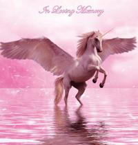 bokomslag In Loving Memory Funeral Guest Book, Celebration of Life, Wake, Loss, Memorial Service, Love, Condolence Book, Funeral Home, Missing You, Church, Thoughts and In Memory Guest Book, Pink (Hardback)