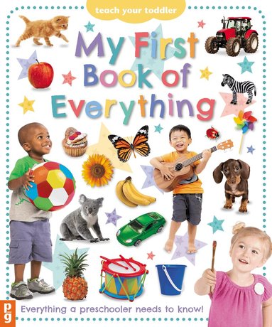 Chez Picthall - My First Book of Everything, Kartonnage