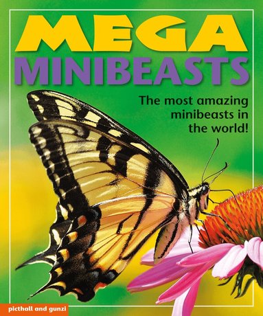 Nina Filipek - Mega Minibeasts, Häftad