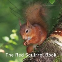 bokomslag Nature Book Series, The: The Squirrel Book