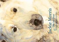 bokomslag Jackie Morris Postcard Pack: The Ice Bear