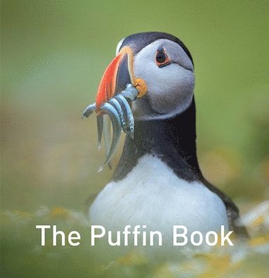 bokomslag Nature Book Series: The Puffin Book