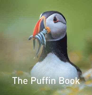 Drew Buckley, Jane Russ - Nature Book Series: The Puffin Book, Inbunden