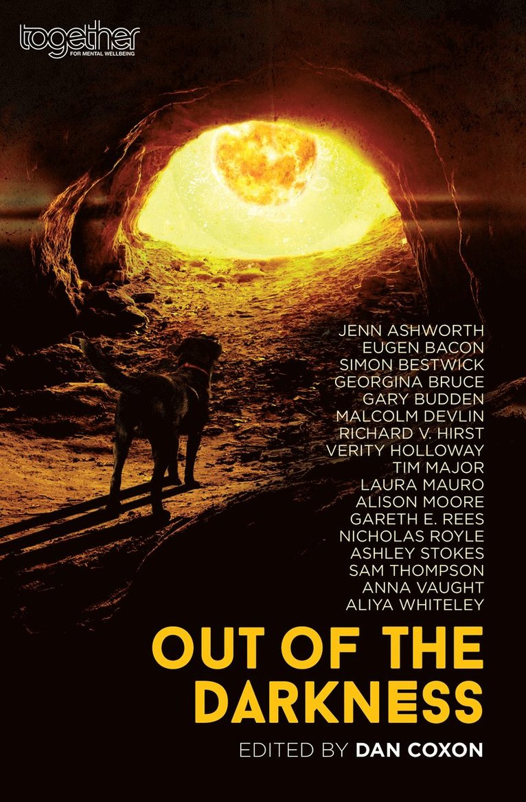 Verity Holloway, Jenn Ashworth, Alison Moore, Aliya Whiteley, Nicholas Royle, Laura Mauro, Tim Major, Sam Thompson, Gareth E. Rees, Eugen Bacon, Simon Bestwick, Richard V. Hirst, Ashley Stokes, Malcolm Devlin, Gary Budden, Anna Vaught, Georgina Bruce, Dan Coxon - Out of the Darkness, Häftad