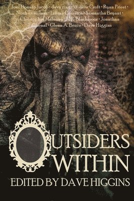 bokomslag Outsiders Within