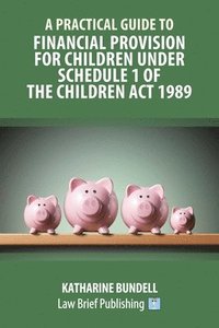 bokomslag A Practical Guide to Financial Provision for Children under Schedule 1 of the Children Act 1989