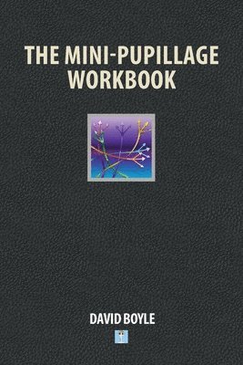 David Boyle - Mini-Pupillage Workbook, Häftad