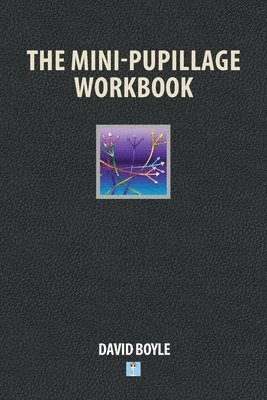 The Mini-Pupillage Workbook 1