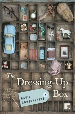 David Constantine - Dressing-Up Box, Inbunden