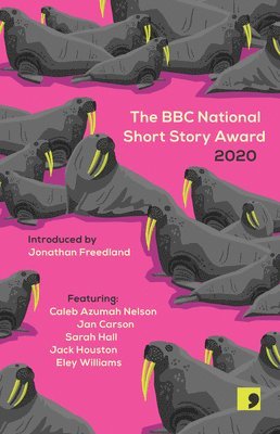 The BBC National Short Story Award 2020 1