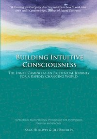 bokomslag Building Intuitive Consciousness