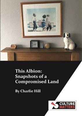 bokomslag This Albion: Snapshots of a Compromised Land