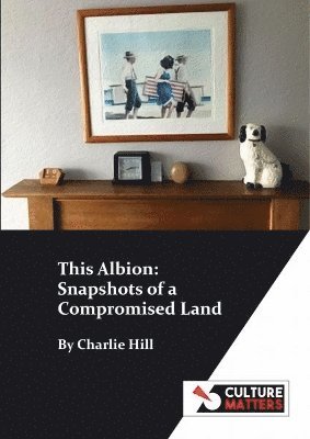 This Albion: Snapshots of a Compromised Land 1