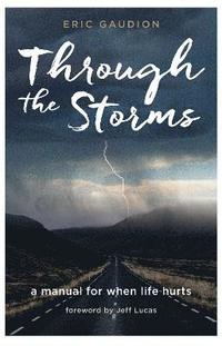 bokomslag Through the Storms
