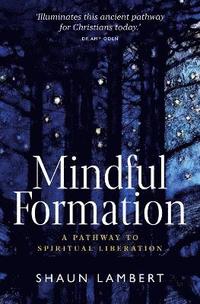 bokomslag Mindful Formation