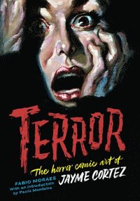 bokomslag Terror