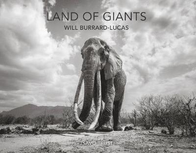 Land of Giants 1