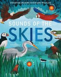 bokomslag Sounds of the Skies